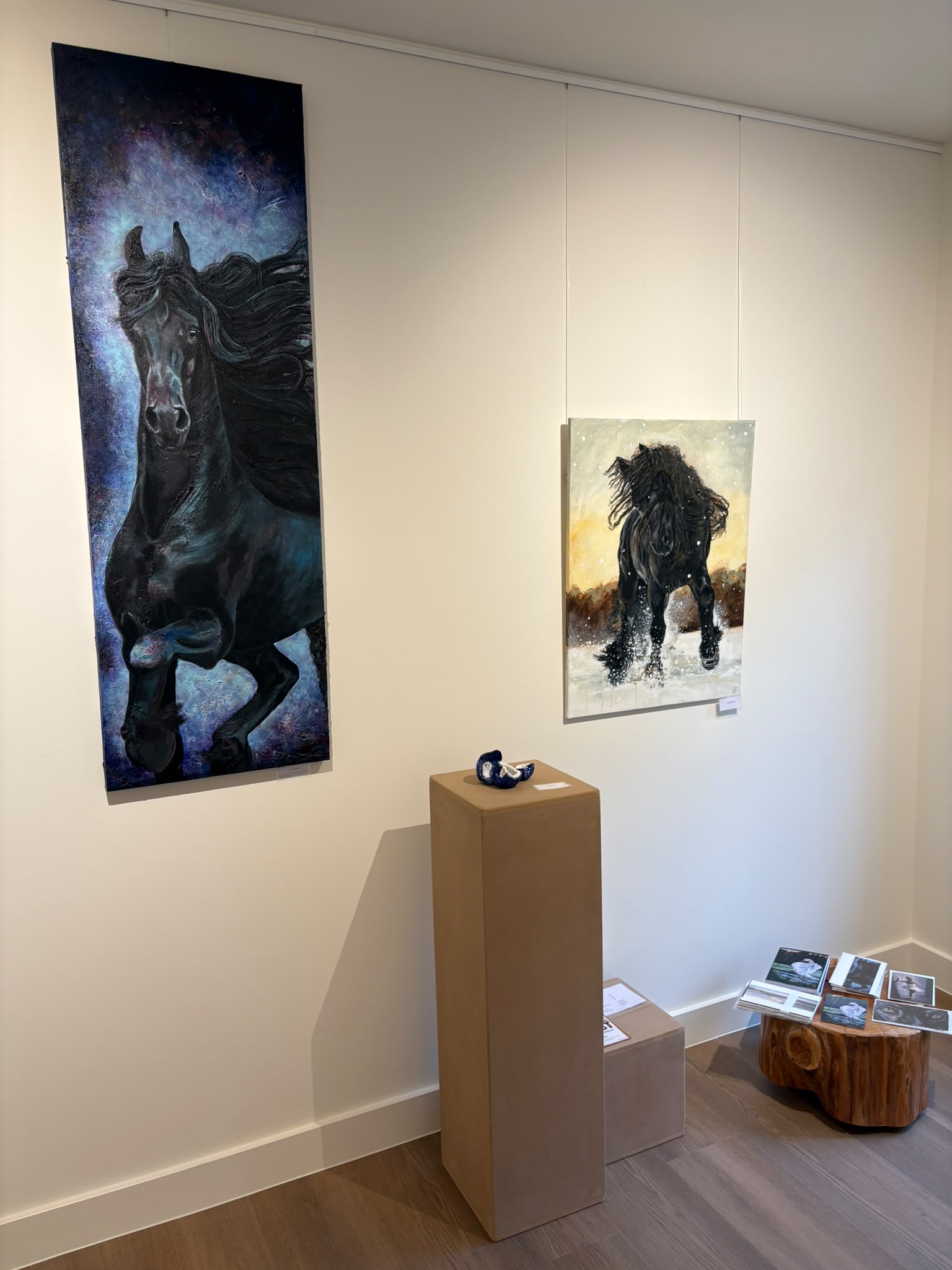 Kunstzomer Dwingeloo 2026 — foto 6